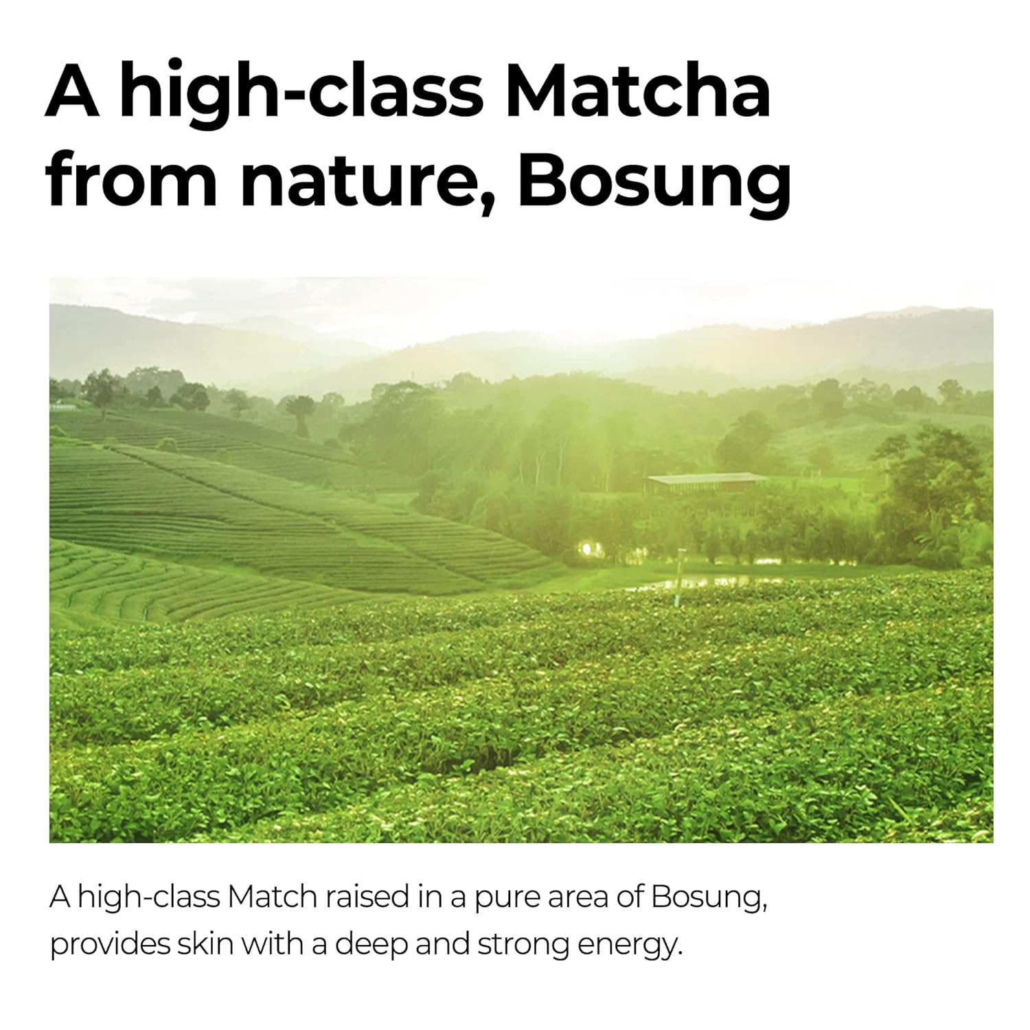 SOME BY MI Super Matcha Pore Clean Cleansing Gel (100ml)