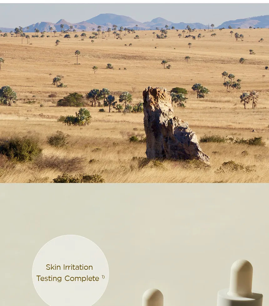 SKIN1004 Madagascar Centella Asiatica 100 Ampoule 100ml