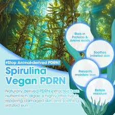 SOME BY MI PDRN Spirulina Repair Serum (50ml)