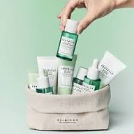 SKIN1004 Madagascar Centella Tea-Trica Travel Kit (4-Step)