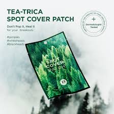 SKIN1004 Spot Cover Patch (22 Patches)